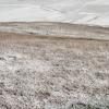 A snowfall (11)